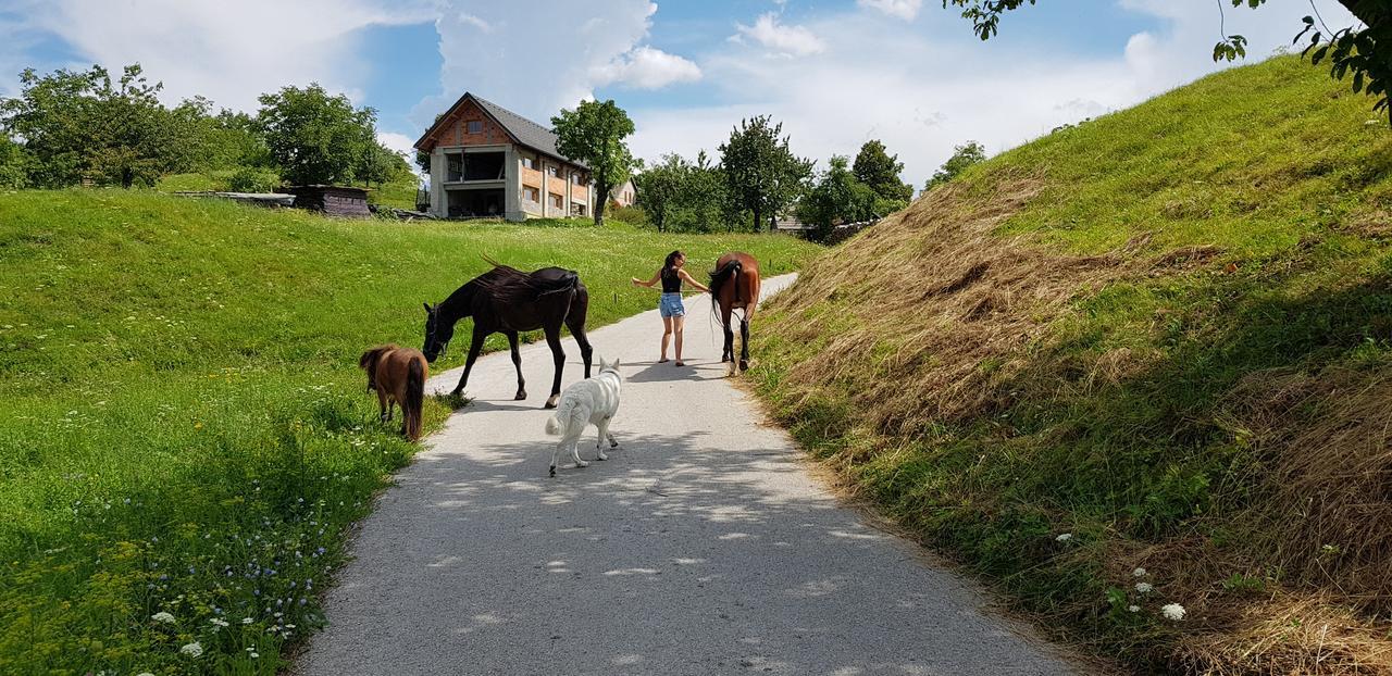 Apartma Pri Bostjanu Škofja Loka Exteriör bild