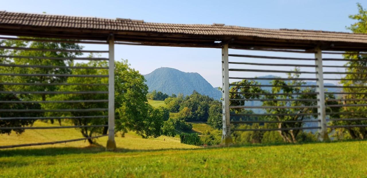 Apartma Pri Bostjanu Škofja Loka Exteriör bild