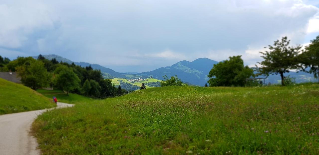 Apartma Pri Bostjanu Škofja Loka Exteriör bild