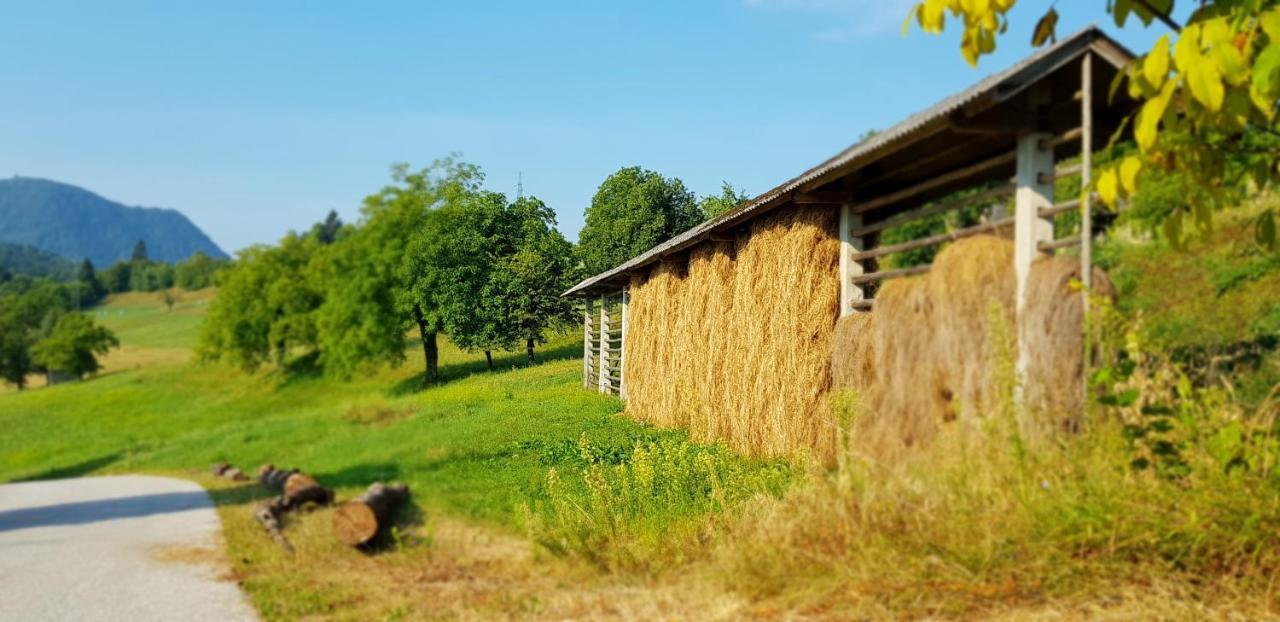 Apartma Pri Bostjanu Škofja Loka Exteriör bild