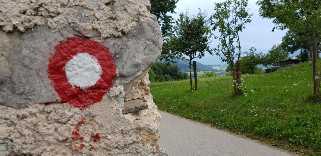 Apartma Pri Bostjanu Škofja Loka Exteriör bild
