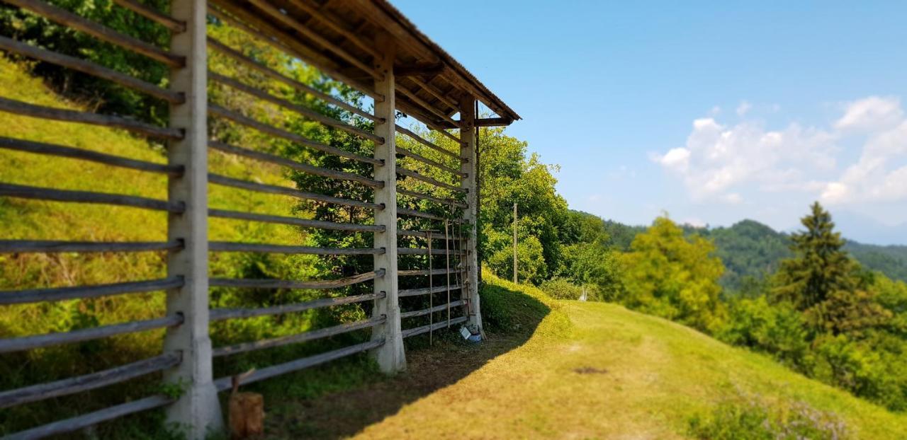 Apartma Pri Bostjanu Škofja Loka Exteriör bild